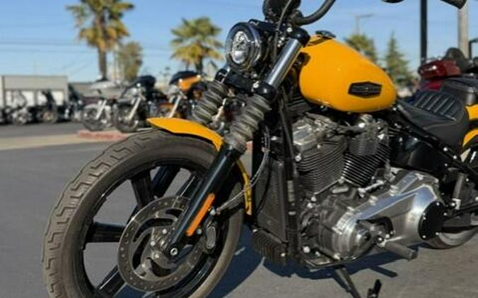 2025 Harley-Davidson Street Bob FXBB