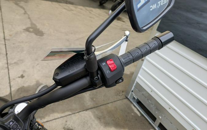 2025 Kawasaki Vulcan S