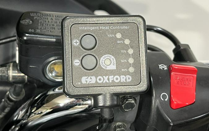 2010 Honda NT700V