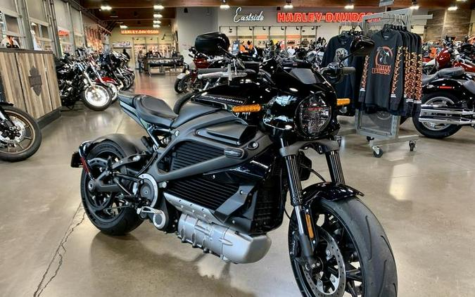 2020 Harley-Davidson® ELW - LiveWire™