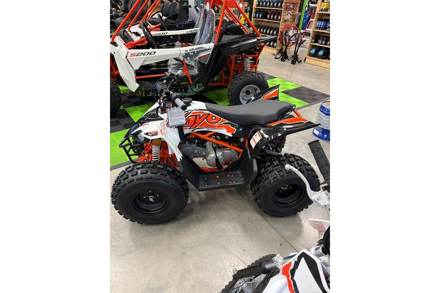 2025 Kayo Predator 125