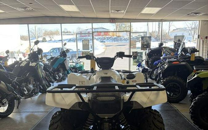 2017 Yamaha Grizzly EPS