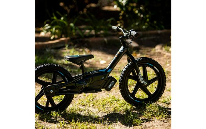 2024 STACYC 16eDrive