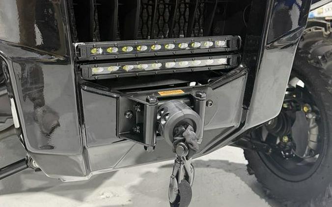 2025 Honda® Pioneer 1000