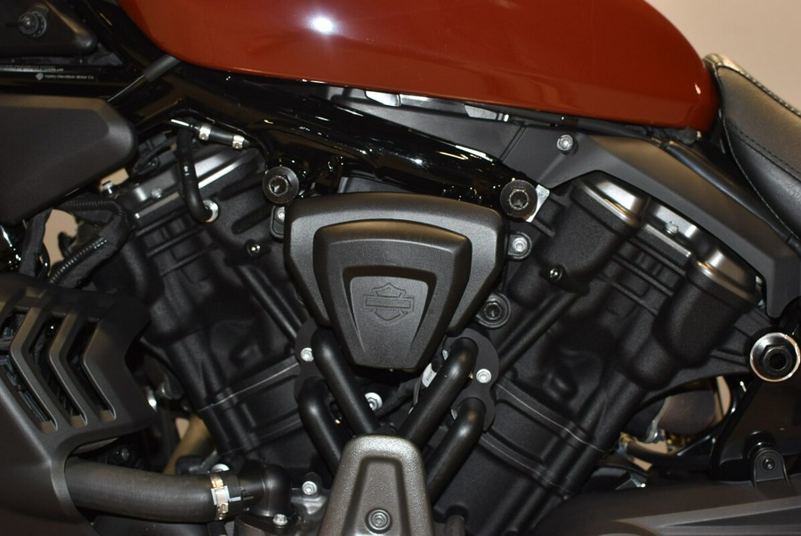 2024 Harley-Davidson Nightster Special