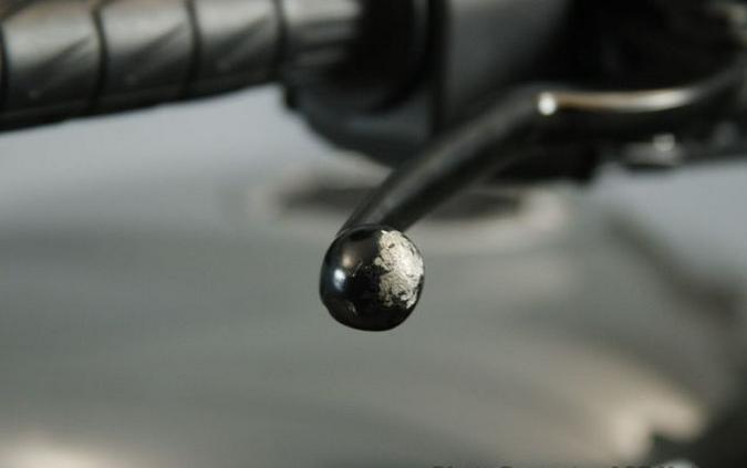 2024 Kawasaki Eliminator