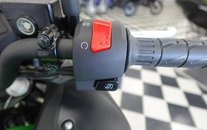 2025 Kawasaki Versys®-X 300 ABS