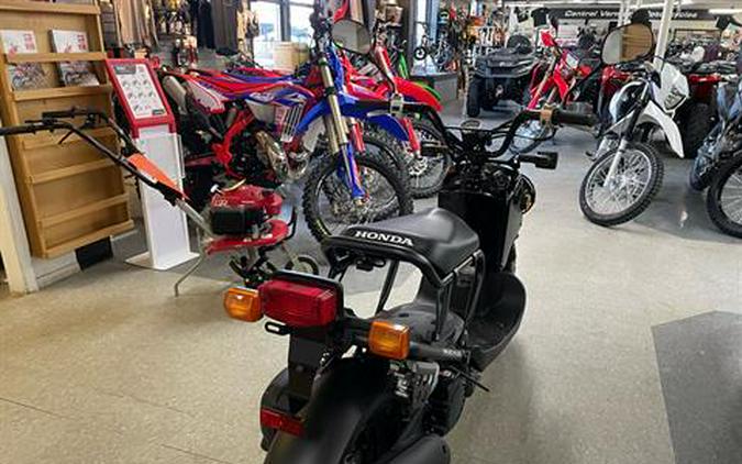 2024 Honda Ruckus