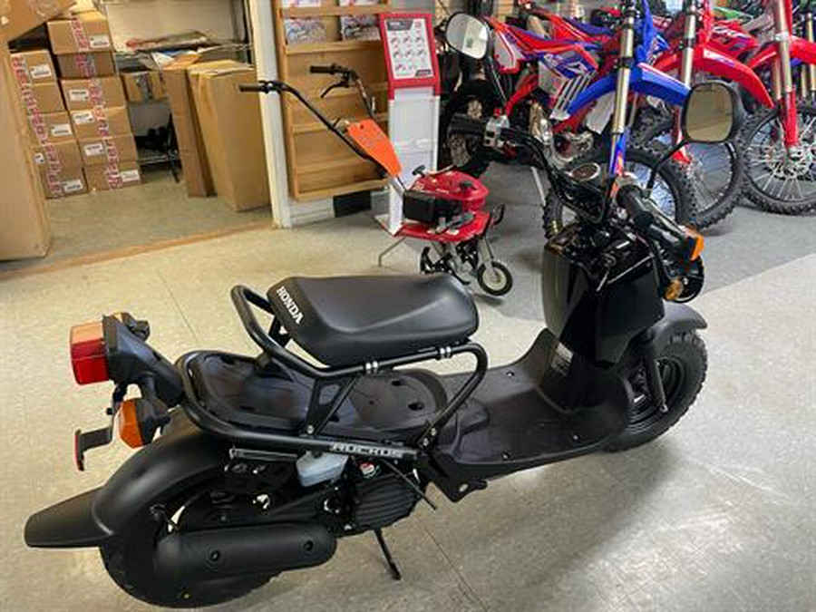 2024 Honda Ruckus