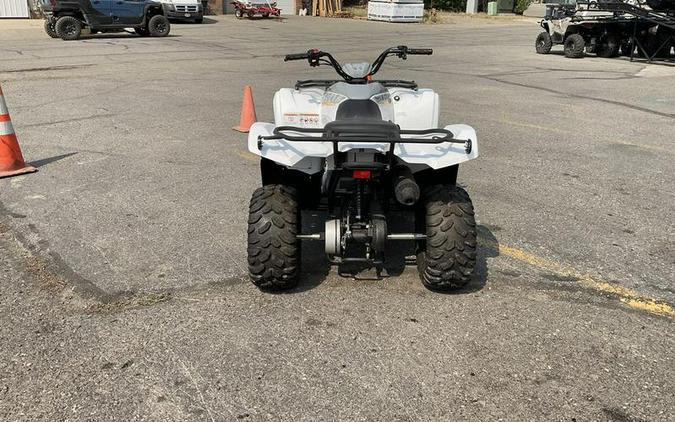 2024 Yamaha Grizzly 90