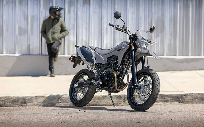 2025 Kawasaki KLX®230SM ABS