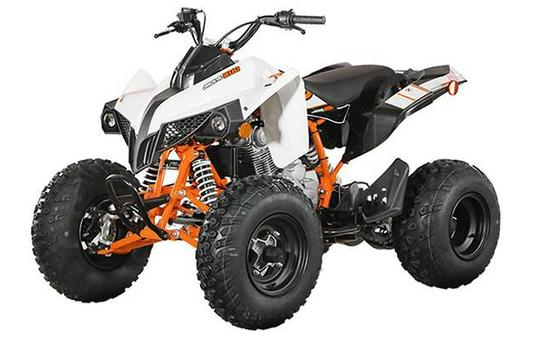 2024 Kayo Jackal 200