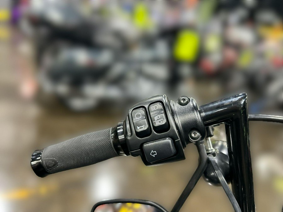 2021 Harley-Davidson SPORTSTER IRON 883