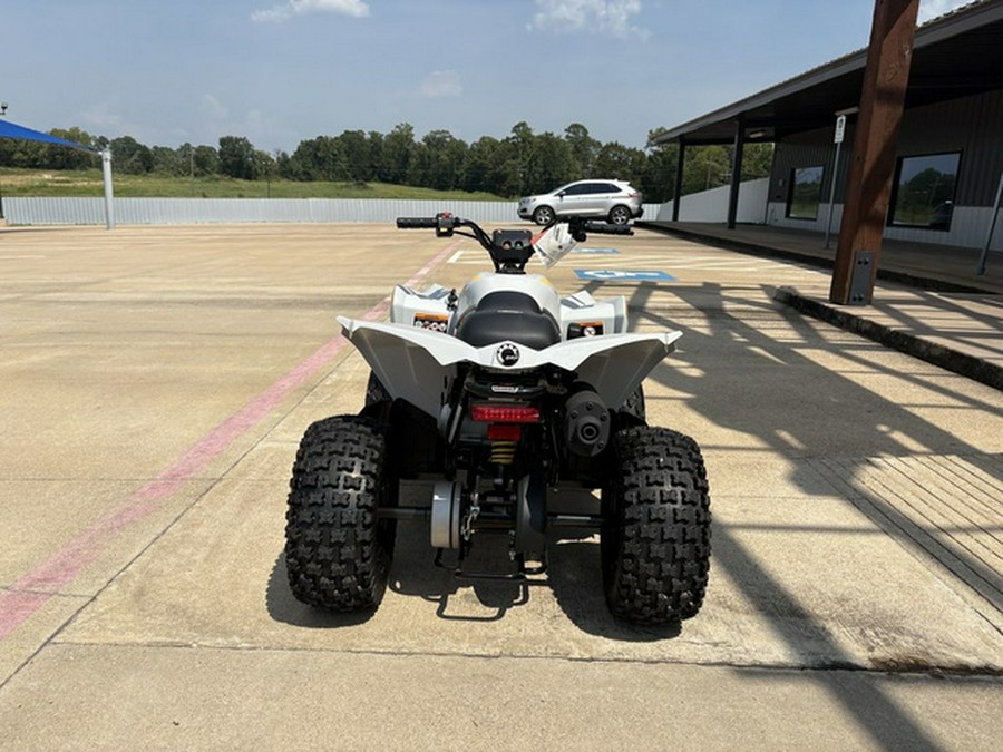 2026 Can-Am Renegade 70 EFI