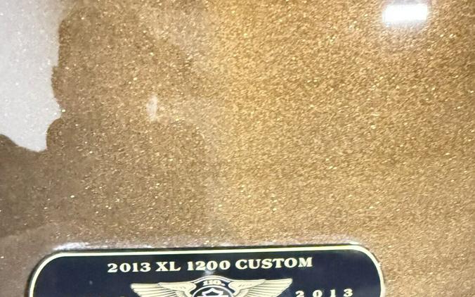 XL1200C 2013 1200 Custom
