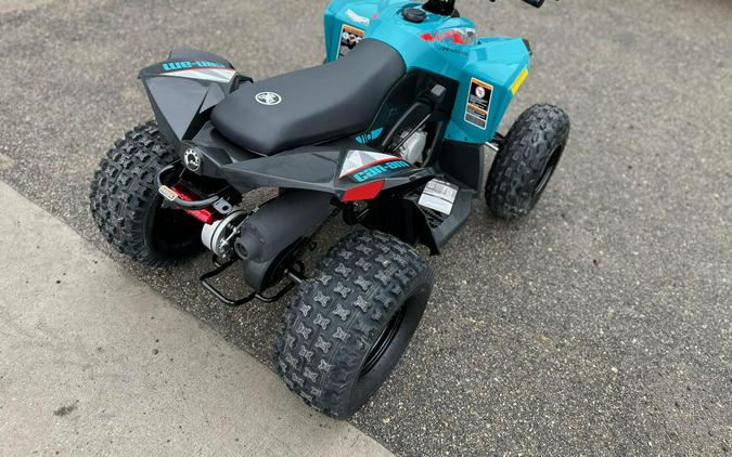 2026 Can-Am Renegade 110 EFI