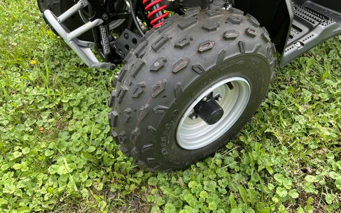2020 Suzuki QUADSPORT Z90 (LT-Z90) Z90