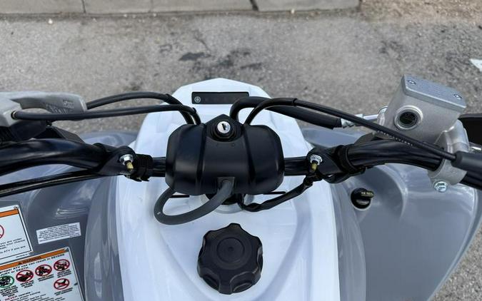 2025 Yamaha Raptor 700