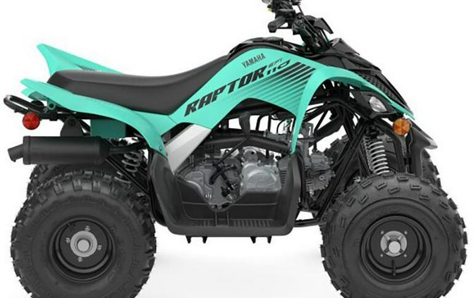 2024 Yamaha YFM01RYXRG Raptor 110 EFI