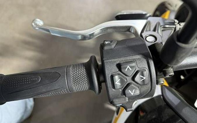 2025 Triumph Trident 660