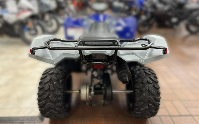 2026 Yamaha GRIZZLY 110