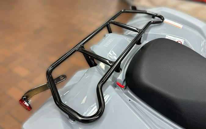 2026 Yamaha GRIZZLY 110