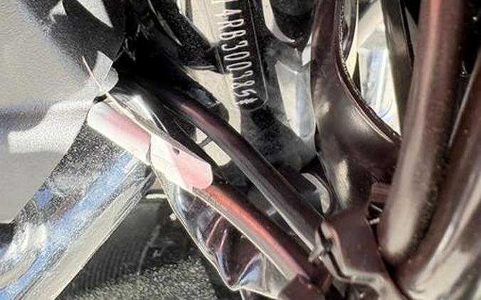 2024 Harley-Davidson® RH975S - Nightster® Special