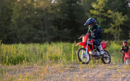 2027 Honda CRF110F