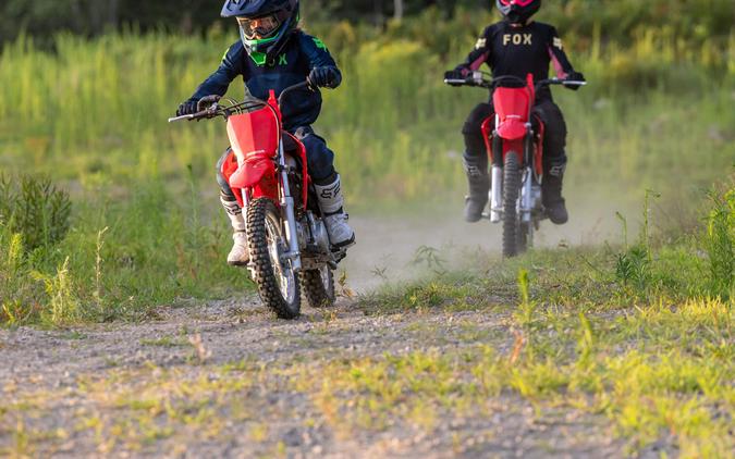 2027 Honda CRF110F