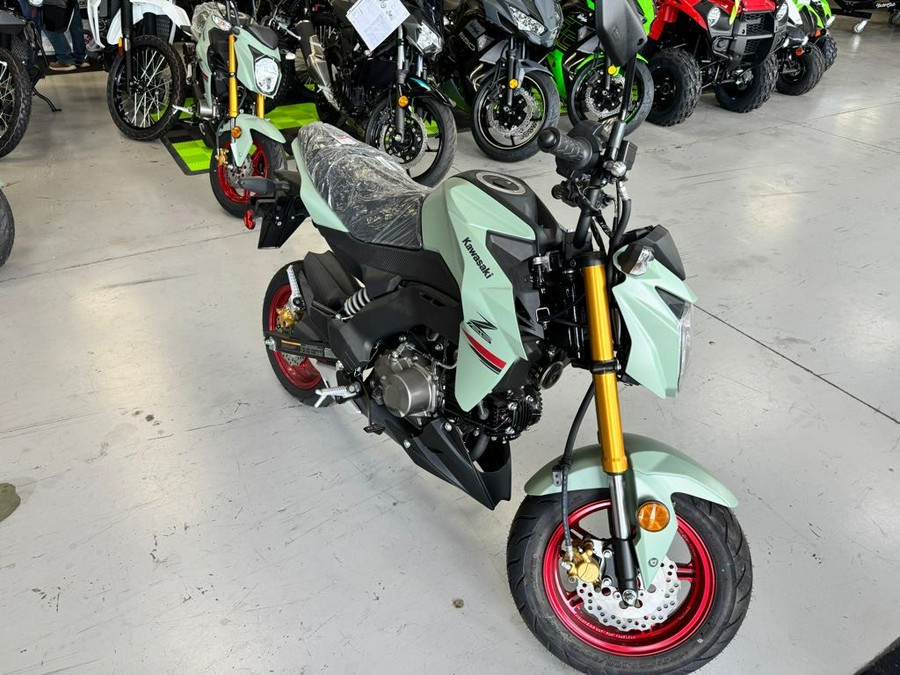 2023 Kawasaki Z125 PRO