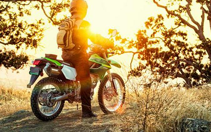 2020 Kawasaki KLX 250