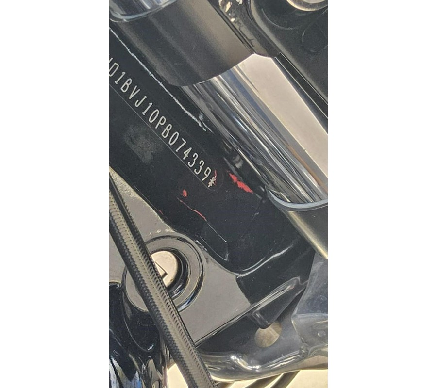 2023 Harley-Davidson Softail® Standard