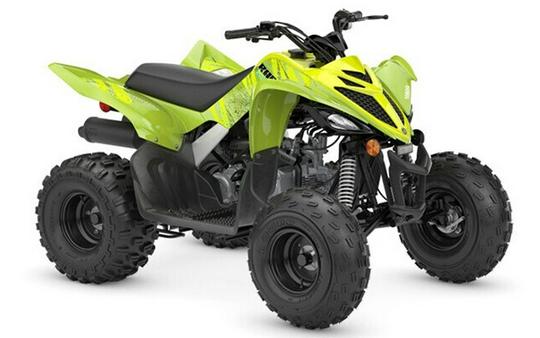 2026 Yamaha Raptor 110