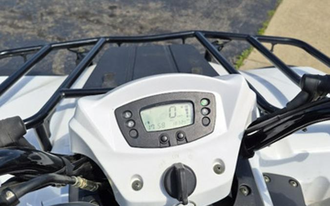 2016 Kawasaki Brute Force 300