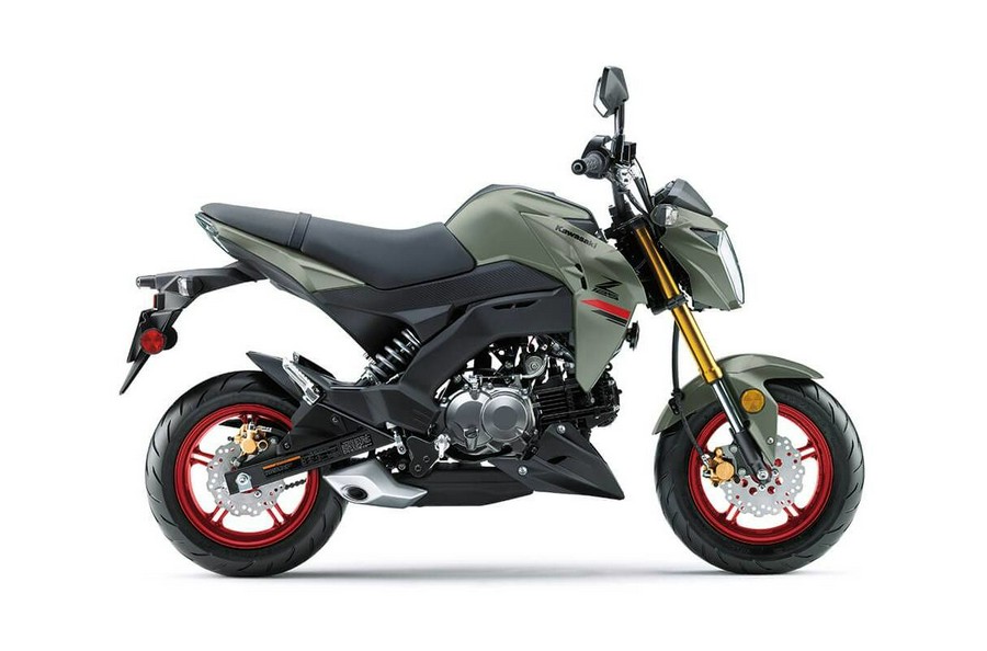 2023 Kawasaki Z125 PRO