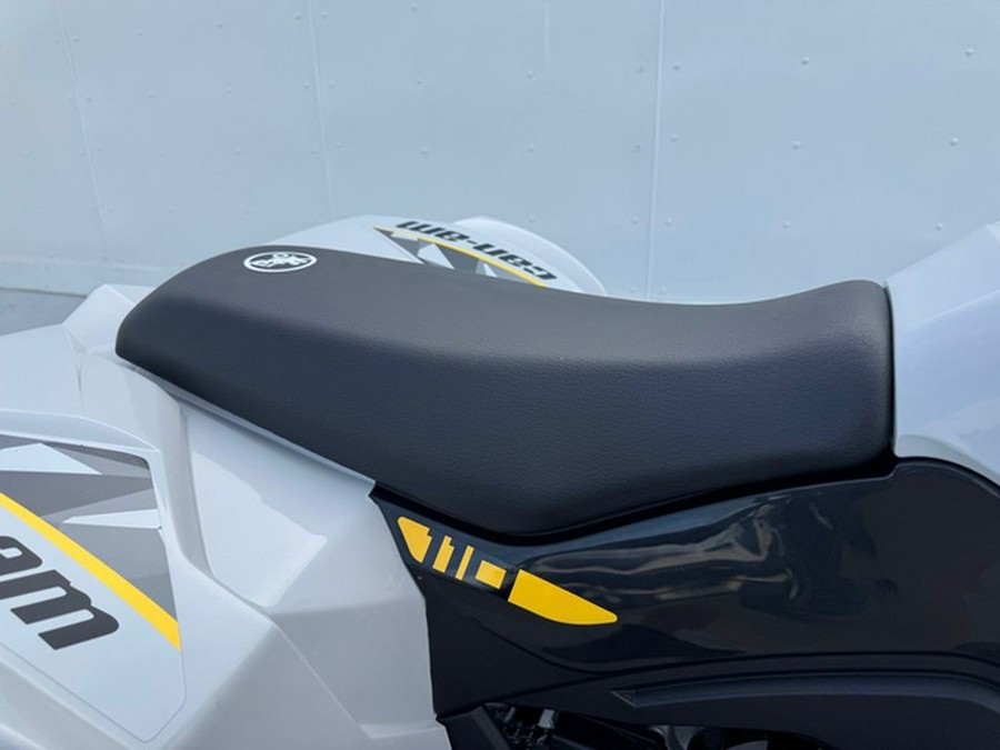2026 Can-Am Renegade 110 EFI