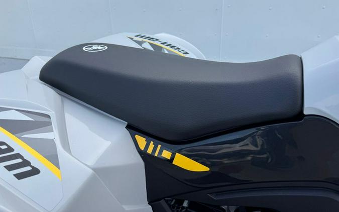 2026 Can-Am Renegade 110 EFI