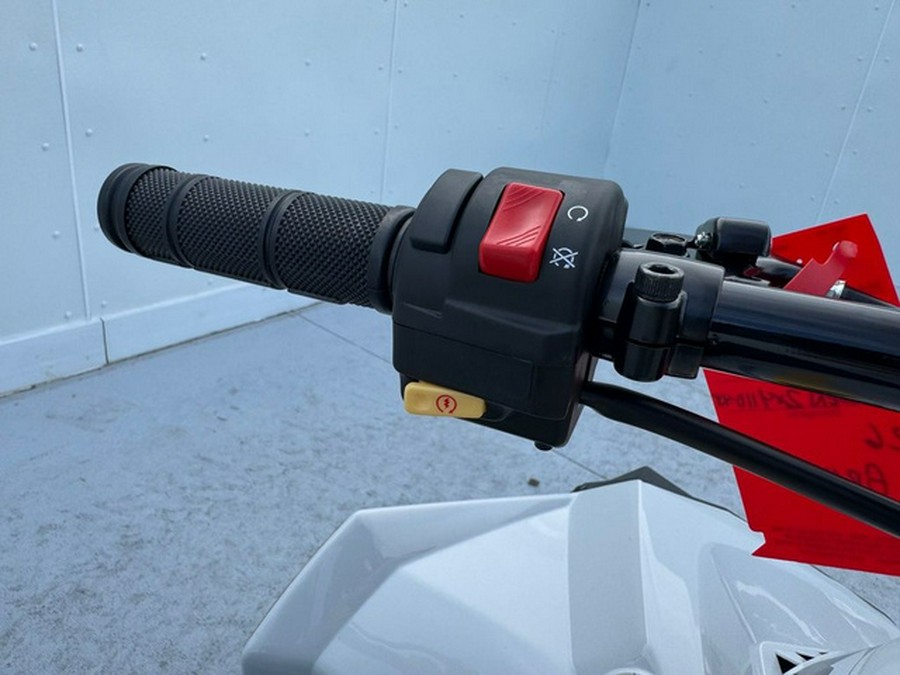 2026 Can-Am Renegade 110 EFI