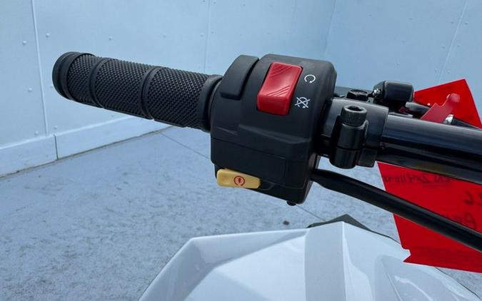 2026 Can-Am Renegade 110 EFI