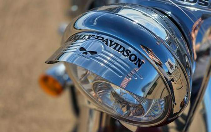 2020 Harley-Davidson Freewheeler