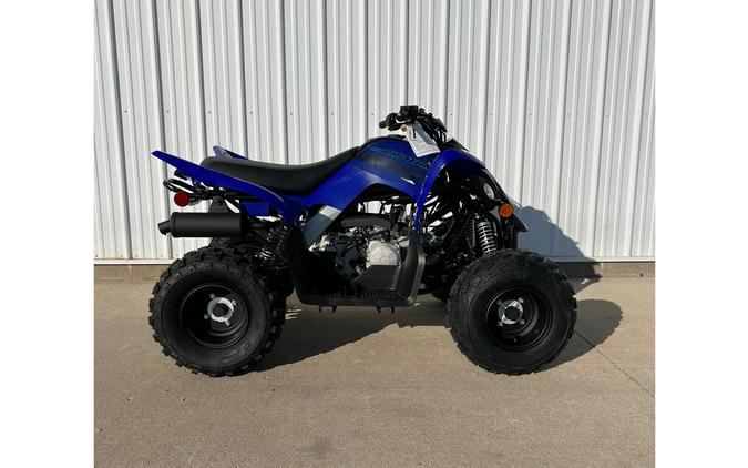 2024 Yamaha Raptor 110