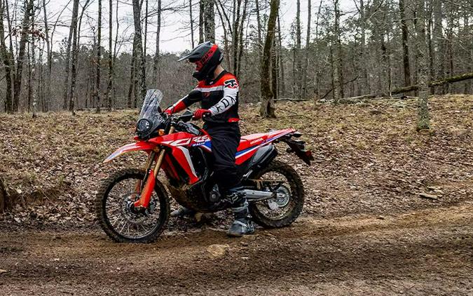 2024 Honda® CRF300L Rally