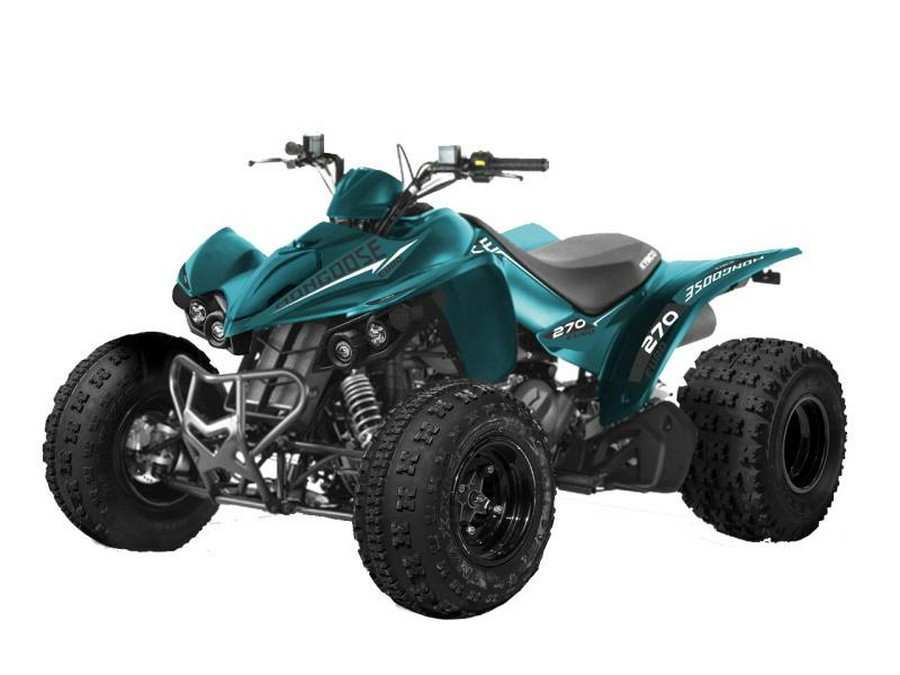 2021 KYMCO Mongoose 270 Euro