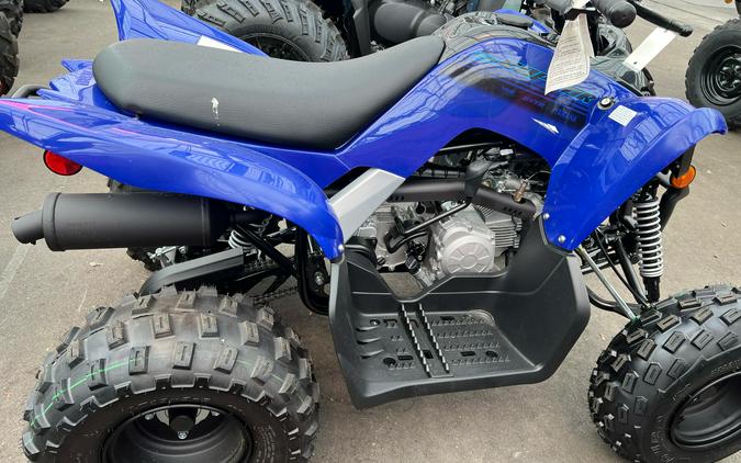 2024 Yamaha Raptor 110