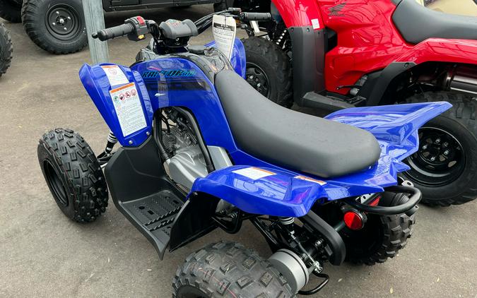 2024 Yamaha Raptor 110