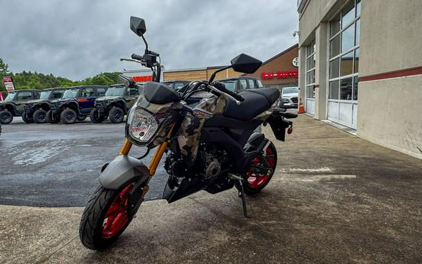 2025 Kawasaki Z125 Pro
