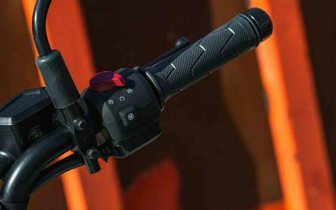 2026 Royal Enfield Himalayan 450