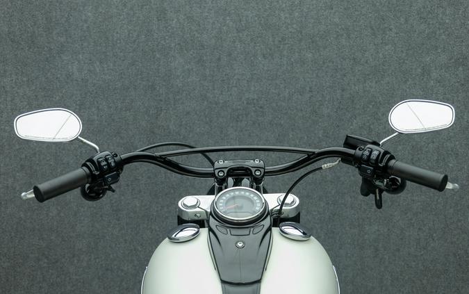 2019 HARLEY DAVIDSON FLSL SOFTAIL SLIM W/ABS