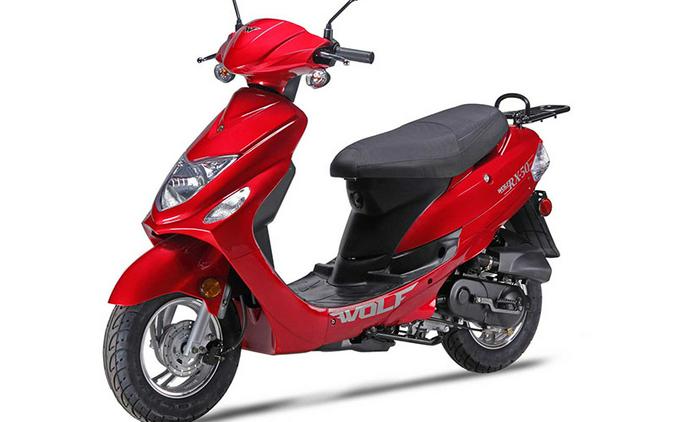 2025 Wolf Brand Scooters Wolf RX-50