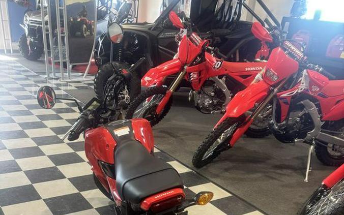 2025 Honda® Grom